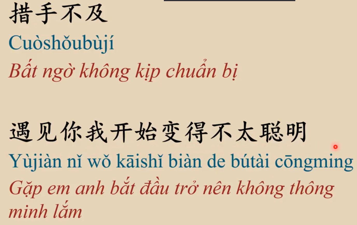 16 tu Chinese